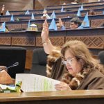 diputados en proceso de votación