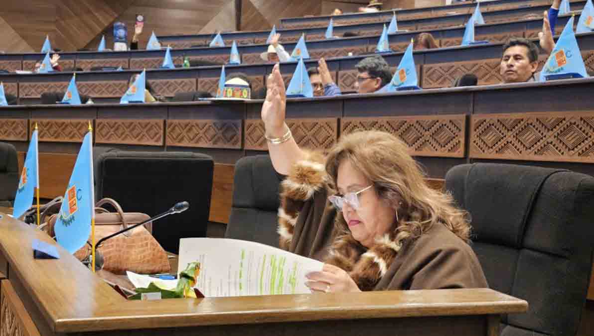 diputados en proceso de votación