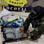 Hallan marihuana en locotal