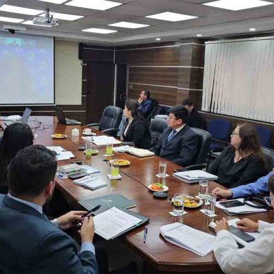 reunión virtual de autoridades bolivianos y funcionarios de la OEA