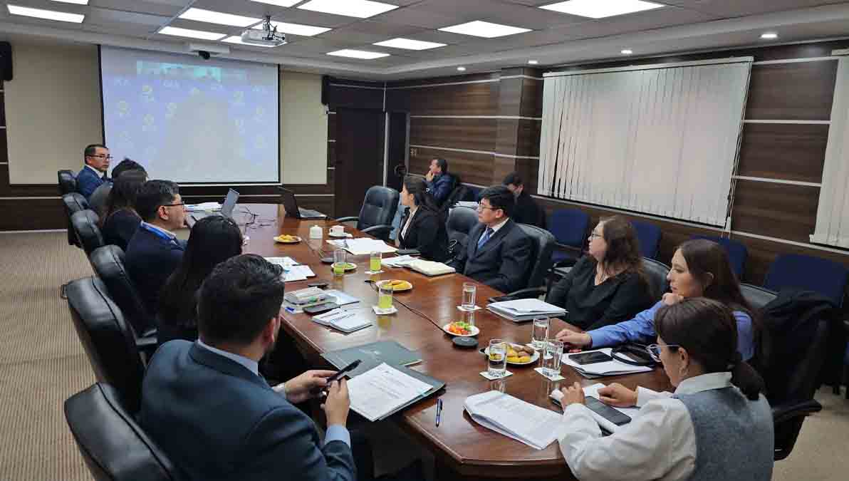 reunión virtual de autoridades bolivianos y funcionarios de la OEA