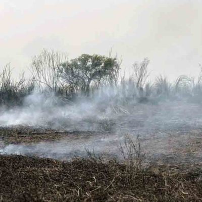 foco de calor apagado por las lluvias