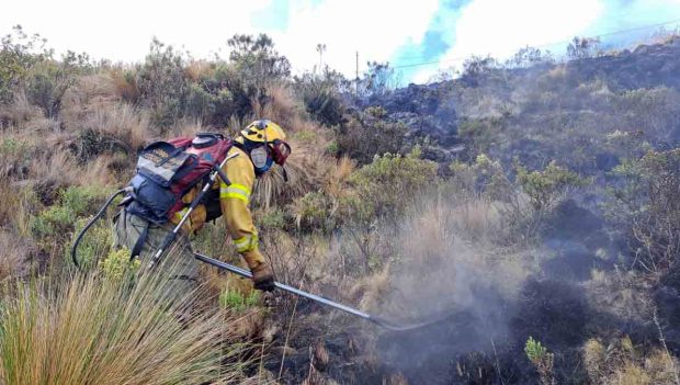 incendio en Colomi