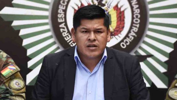 viceministro Mamani