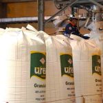 Producción de urea en Bolivia crece