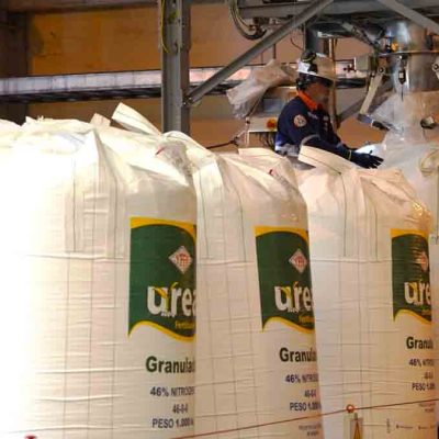Producción de urea en Bolivia crece