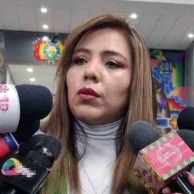 viceministra Gabriela Alcón