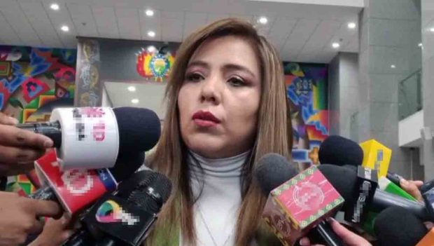 viceministra Gabriela Alcón