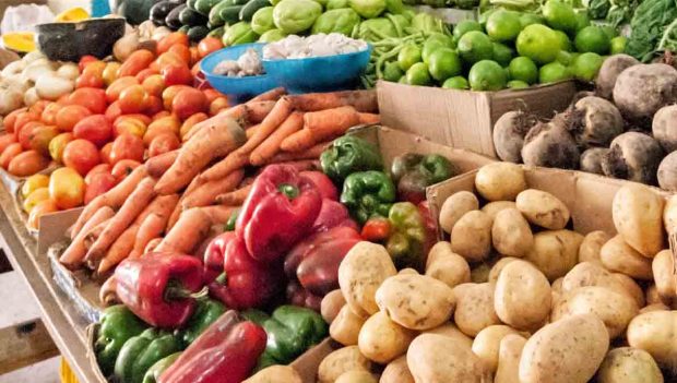 alimentos