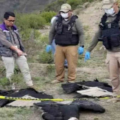 4 cóndores muertos en Morochata