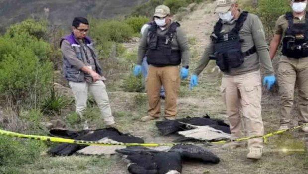 4 cóndores muertos en Morochata