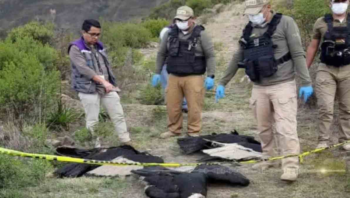 4 cóndores muertos en Morochata