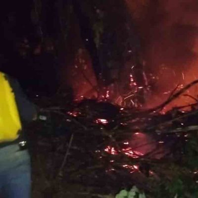 Incendio afecta cultivos de asaí en bajo Paraguá