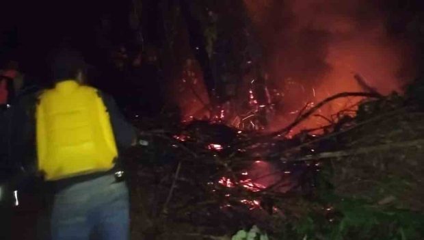 Incendio afecta cultivos de asaí en bajo Paraguá