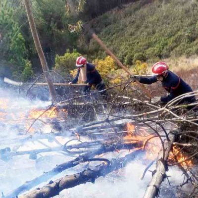 personal de las FFAA sofoca un incendio forestal
