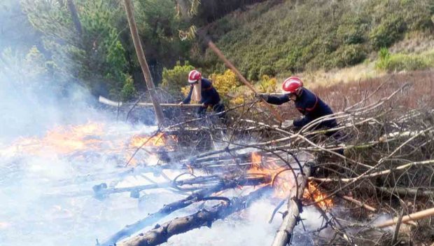 personal de las FFAA sofoca un incendio forestal