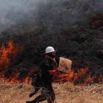 Incendios forestales reducen 95% en Bolivia