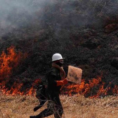 Incendios forestales reducen 95% en Bolivia