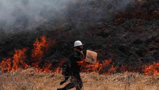 Incendios forestales reducen 95% en Bolivia