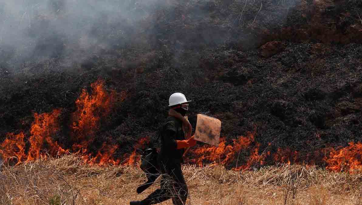 Incendios forestales reducen 95% en Bolivia