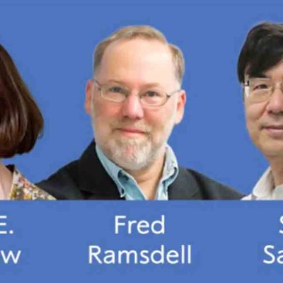 Brunkow, Ramsdell y Sakaguchi