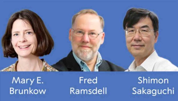 Brunkow, Ramsdell y Sakaguchi