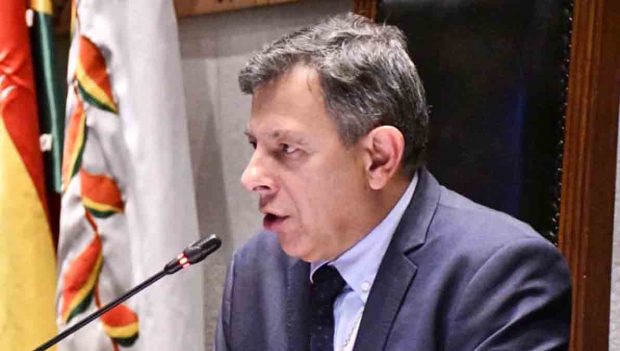 El presidente de la Cámara de Senadores, Diego Ávila Navajas