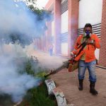 chikungunya en Santa Cruz