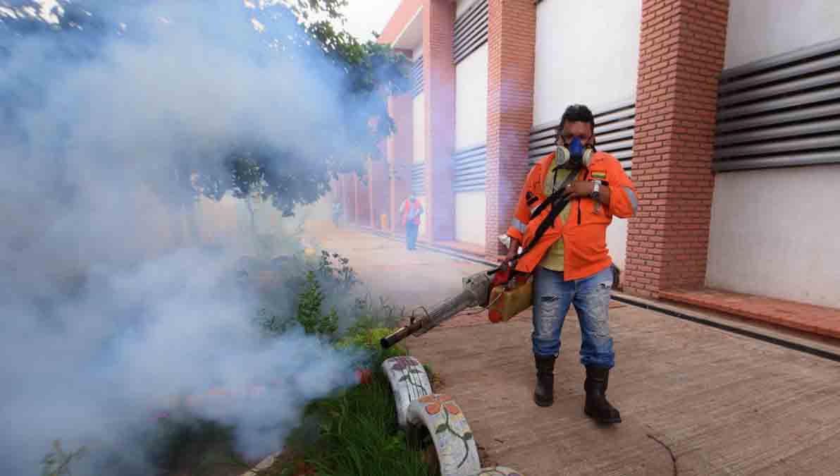 chikungunya en Santa Cruz
