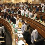 diputados sancionan ley de elecciones subnacionales