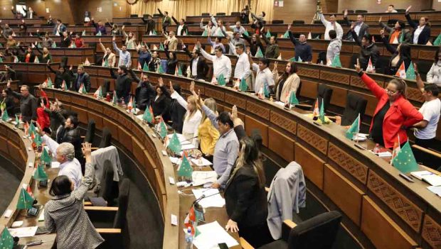 diputados sancionan ley de elecciones subnacionales