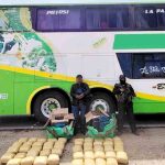 Felcn incauta 48 paquetes de marihuana