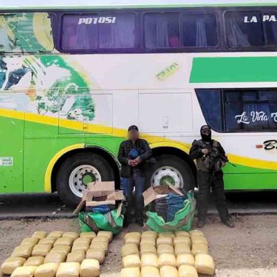 Felcn incauta 48 paquetes de marihuana