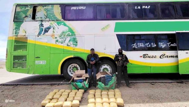 Felcn incauta 48 paquetes de marihuana