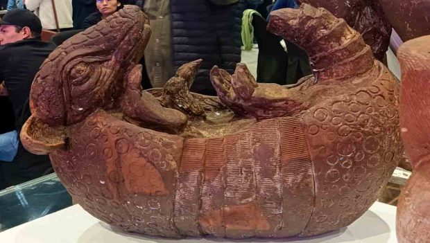 Fexco Café cierra con 6.500 visitantes