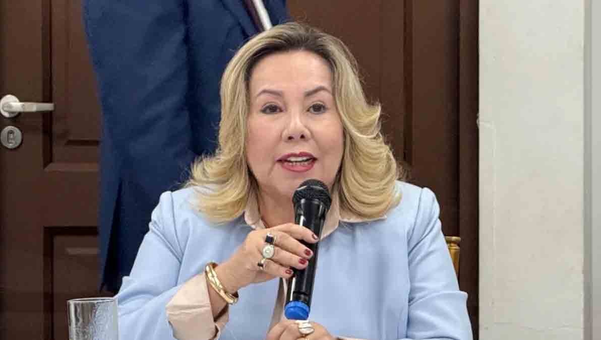 Rosmery Ruiz, decana del TSJ