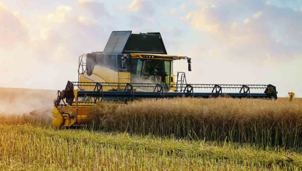 producción agrícola en Bolivia