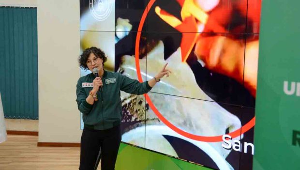 La directora ejecutiva de la ANH, Margot Ayala, en conferencia de prensa