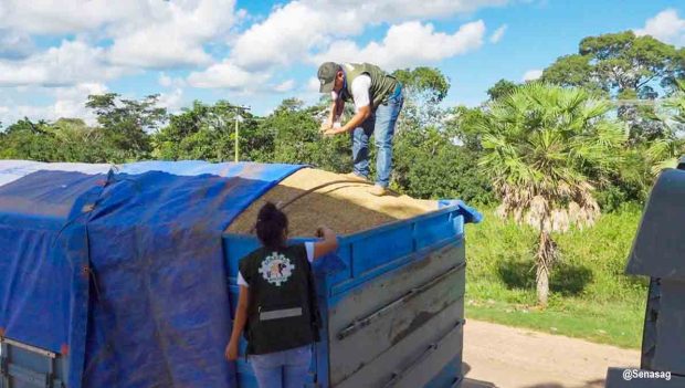 Senasag controla contrabando de arroz