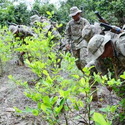 soldados erradican coca excedentaria en Bolivia