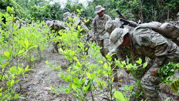 soldados erradican coca excedentaria en Bolivia