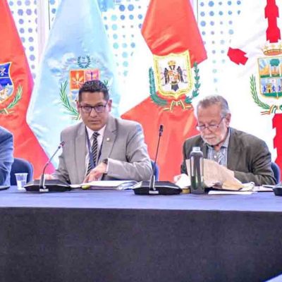 sesión de la Comisión Mixta de Constitución de la ALP