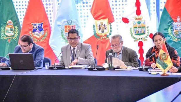 sesión de la Comisión Mixta de Constitución de la ALP