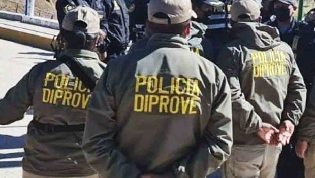 policías de Diprove