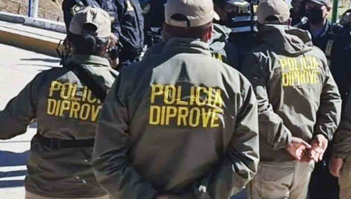 policías de Diprove