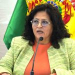 ministra de Salud, Marcela Flores