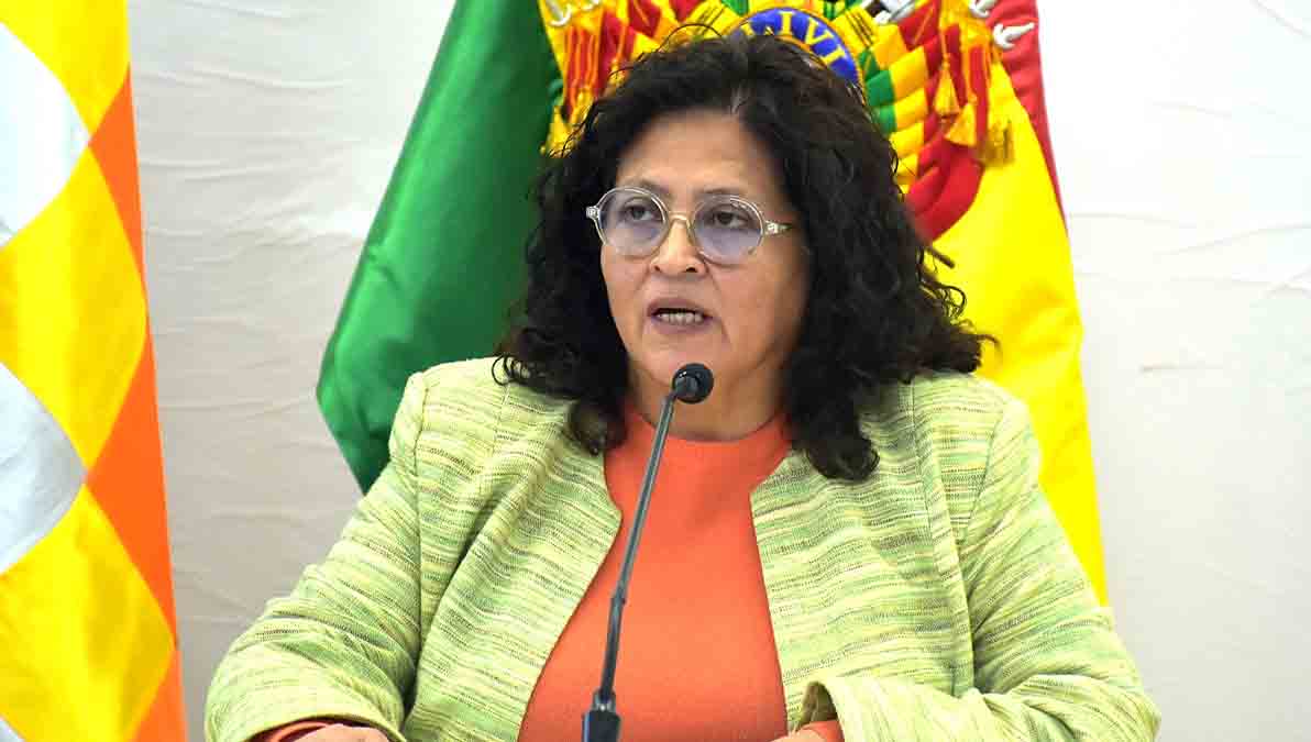 ministra de Salud, Marcela Flores