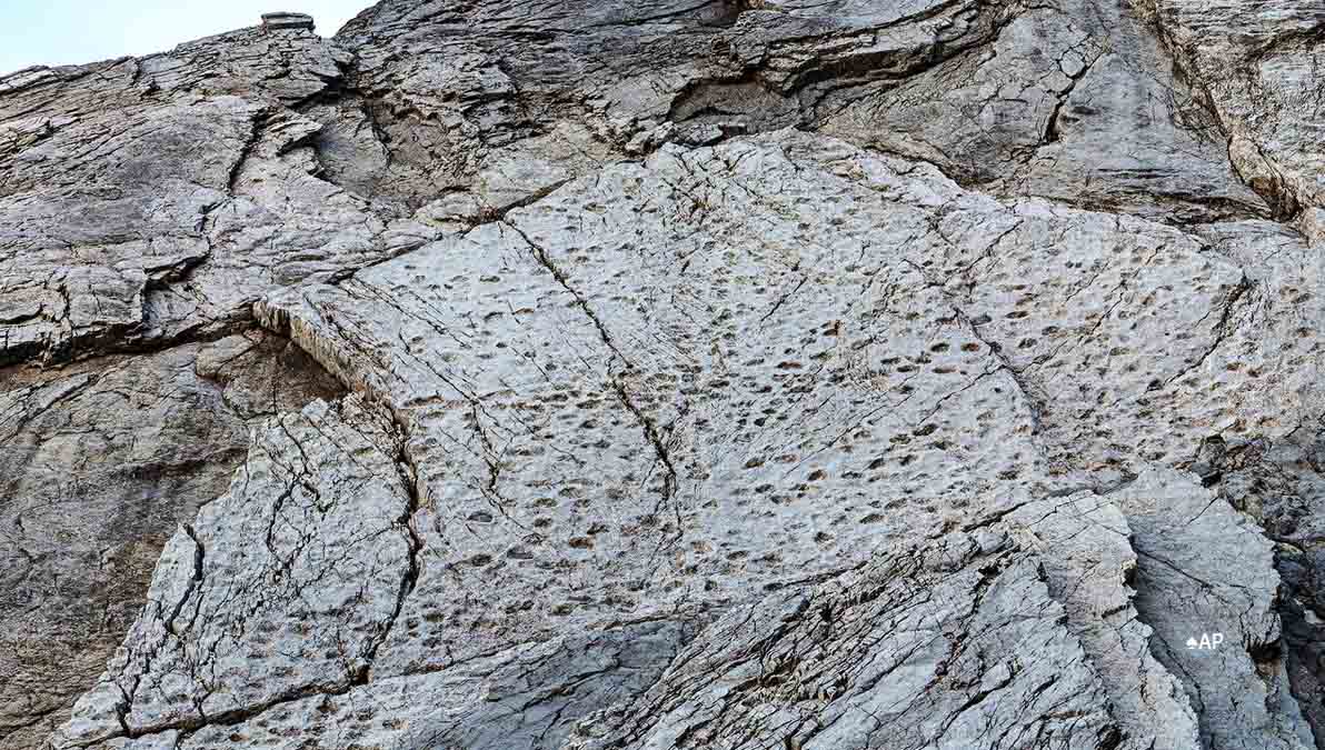 Fotógrafo halla huellas de dinosaurios