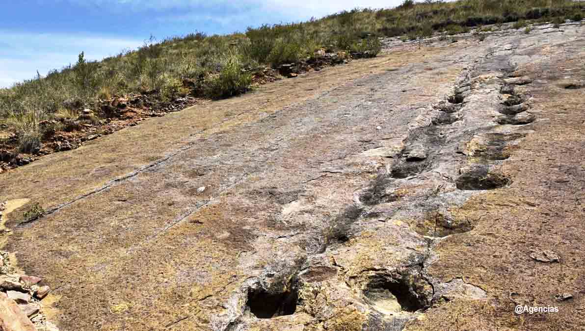 Hallan 16.000 huellas en Torotoro