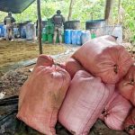 Destruyen fábrica de droga en Puerto Villarroel